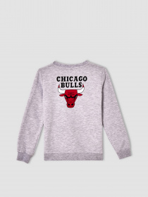 Свитшот DeFacto модель V4452A6-GR400 Фото