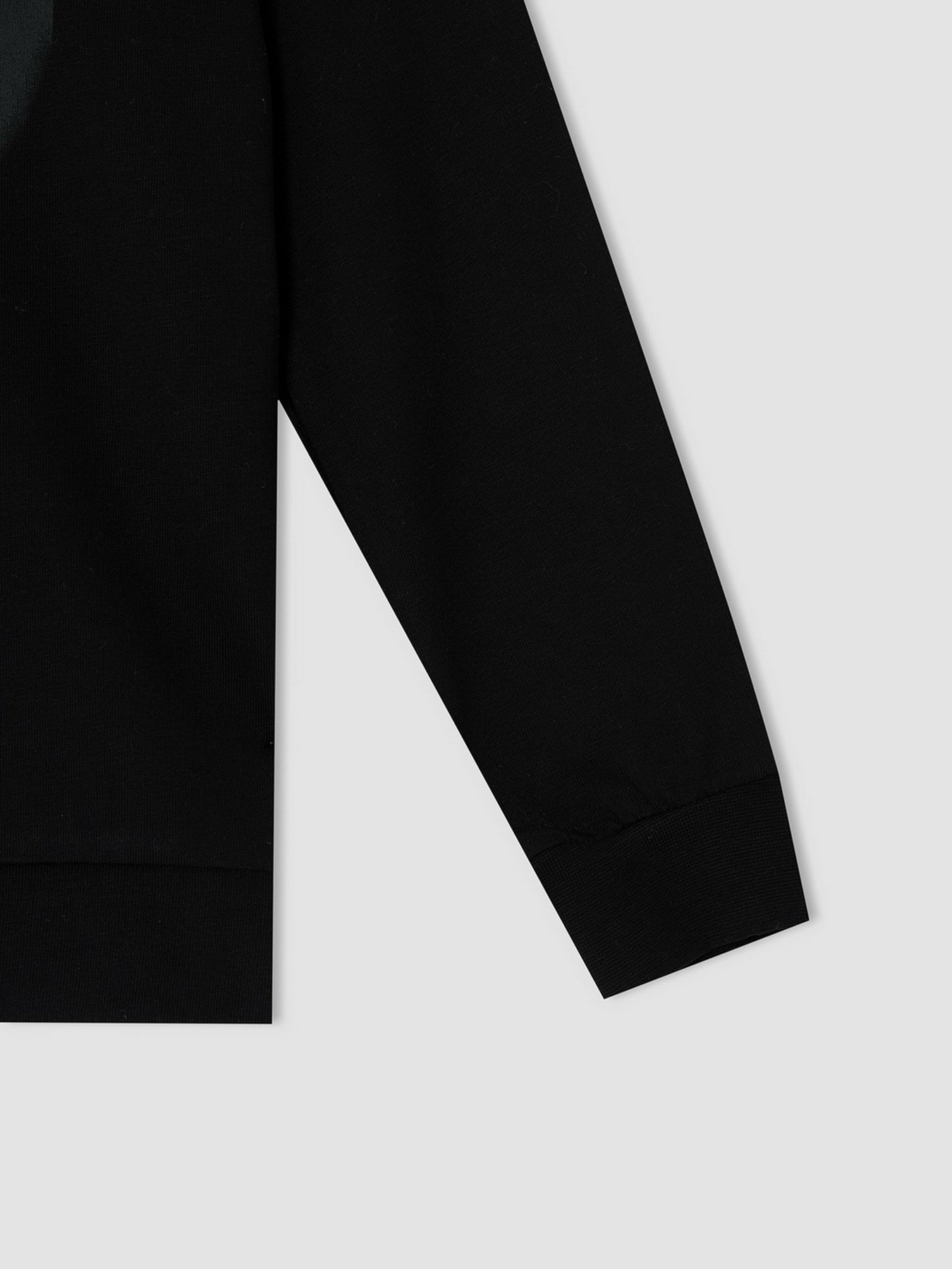 Свитшот DeFacto модель V4446A6-BK27 Фото