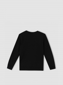 Свитшот DeFacto модель V4446A6-BK27 Фото