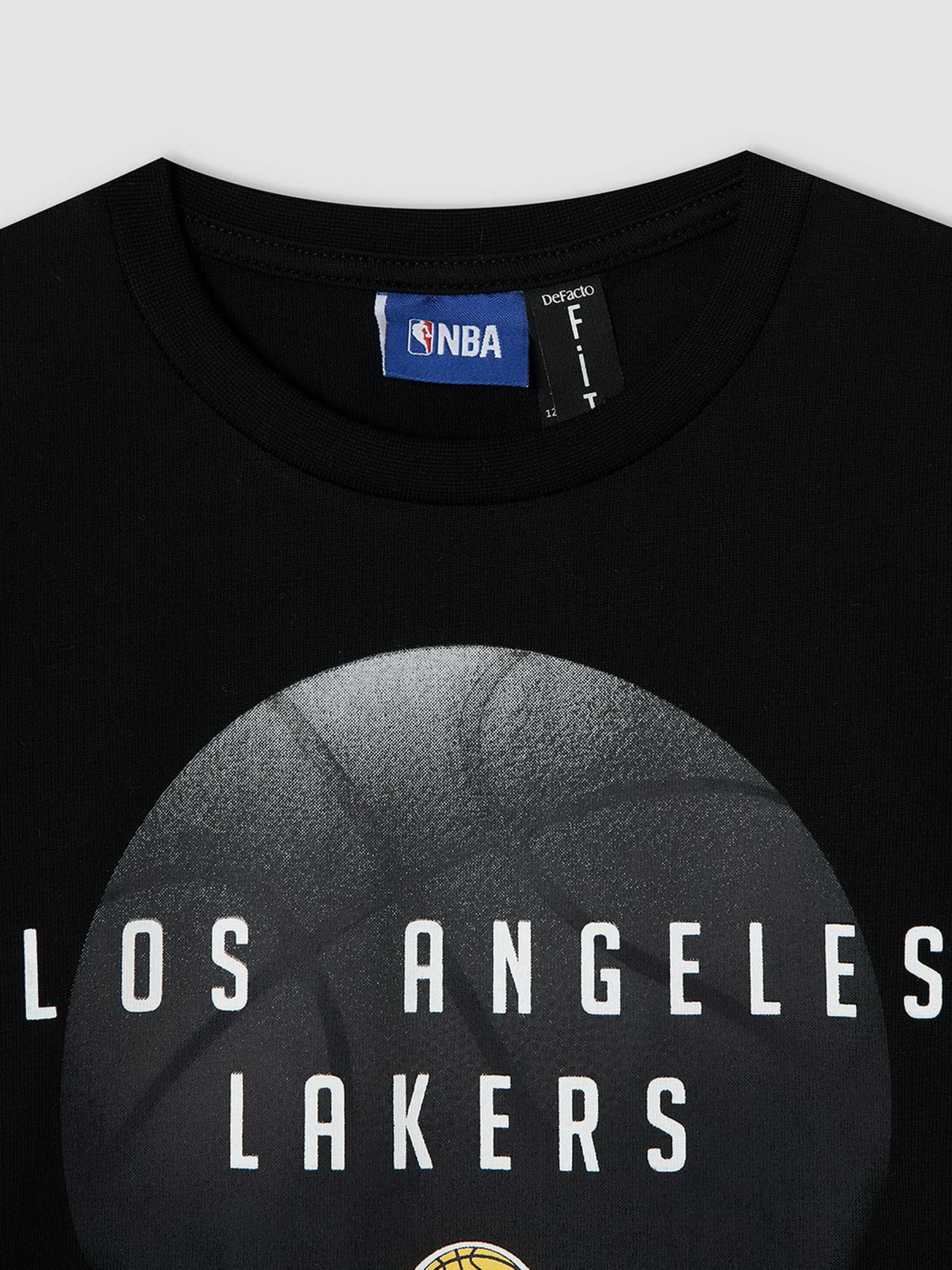 Свитшот DeFacto модель V4446A6-BK27 Фото