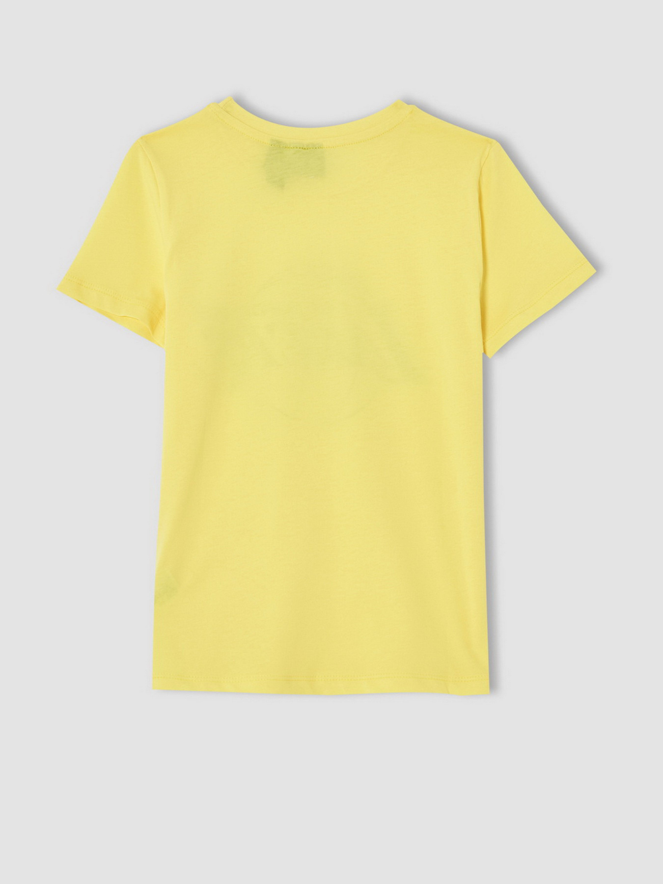 Футболки и поло DeFacto модель V5847A6-YL43 Фото