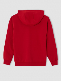 Худи DeFacto модель V7118A6-RD296 Фото