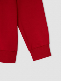 Худи DeFacto модель V7118A6-RD296 Фото