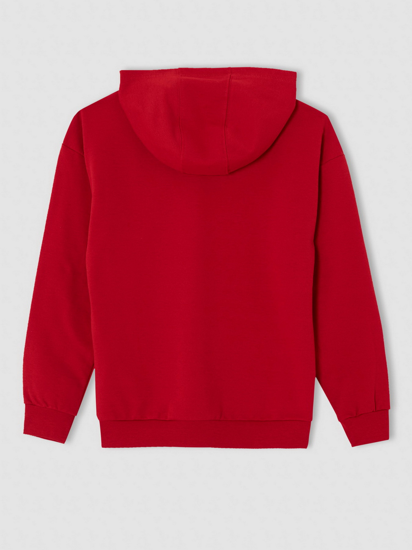 Худи DeFacto модель V7118A6-RD296 Фото