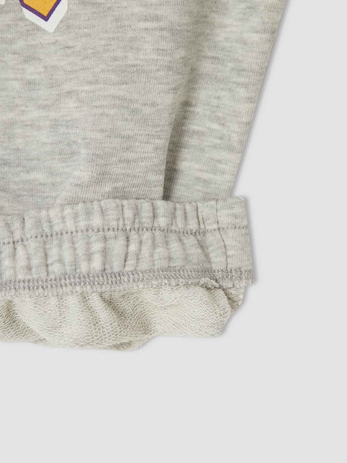 Свитшот DeFacto модель V4158A6-GR393 Фото