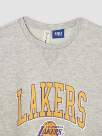 Свитшот DeFacto модель V4158A6-GR393 Фото