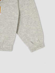 Свитшот DeFacto модель V4158A6-GR393 Фото