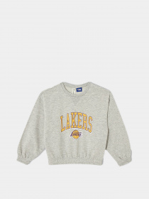 Свитшот DeFacto модель V4158A6-GR393 Фото