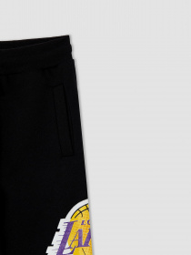 Штаны спортивные DeFacto модель V4659A6-BK27 Фото