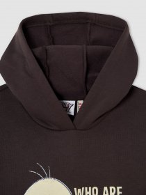 Худи DeFacto модель V6540A6-AR203 Фото