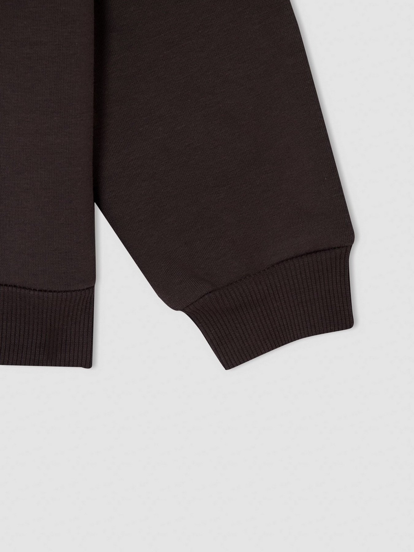 Худі DeFacto модель V6540A6-AR203 Фото