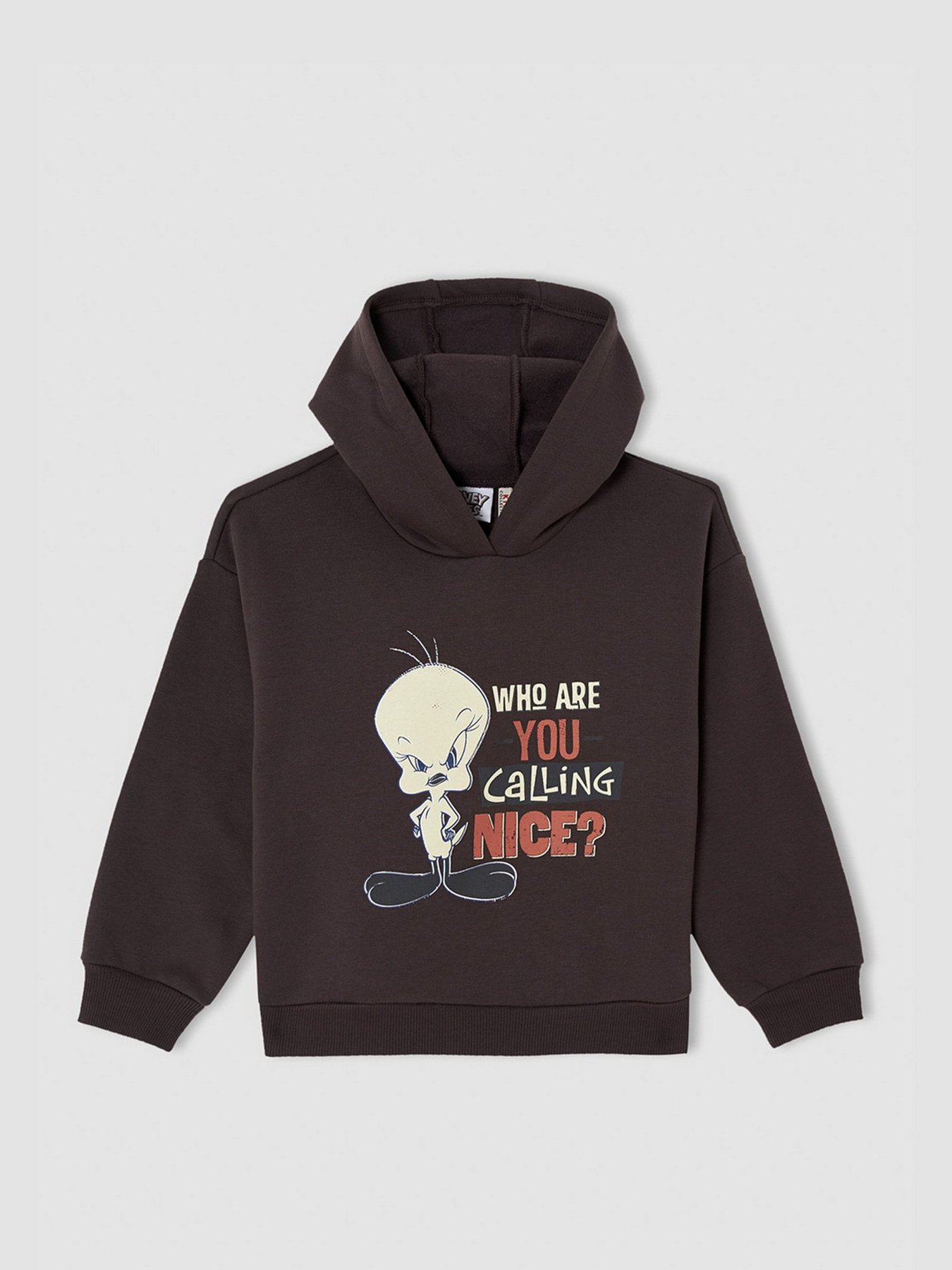 Худі DeFacto модель V6540A6-AR203 Фото