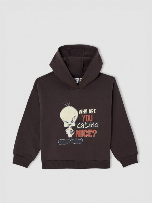 Худі DeFacto модель V6540A6-AR203 Фото