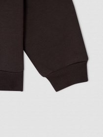 Худі DeFacto модель V6540A6-AR203 Фото