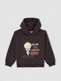 Худі DeFacto модель V6540A6-AR203 Фото