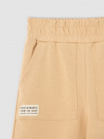 Штаны спортивные DeFacto модель V3811A6-BG68 Фото