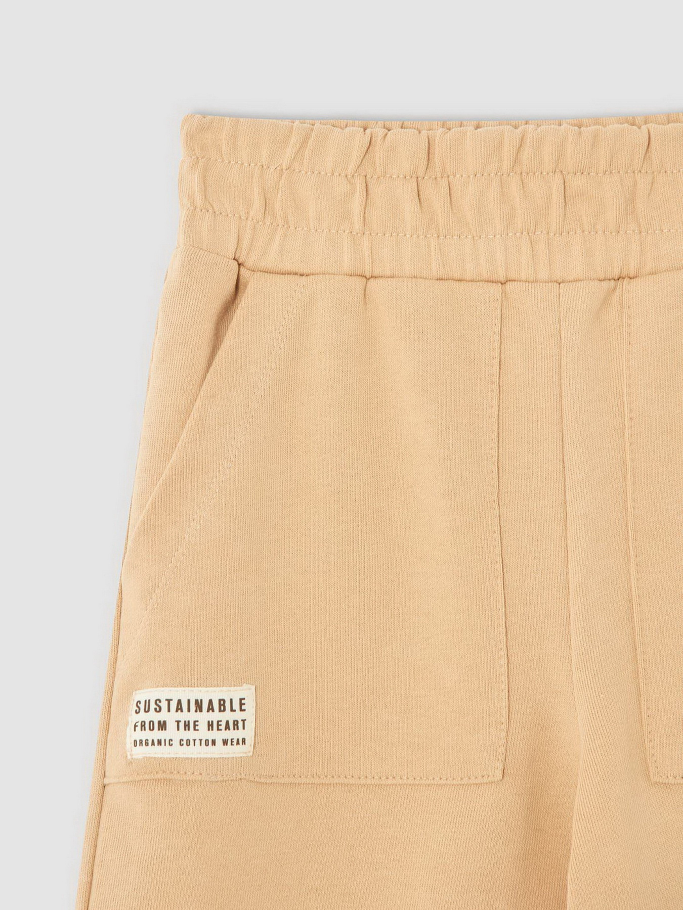 Штаны спортивные DeFacto модель V3811A6-BG68 Фото