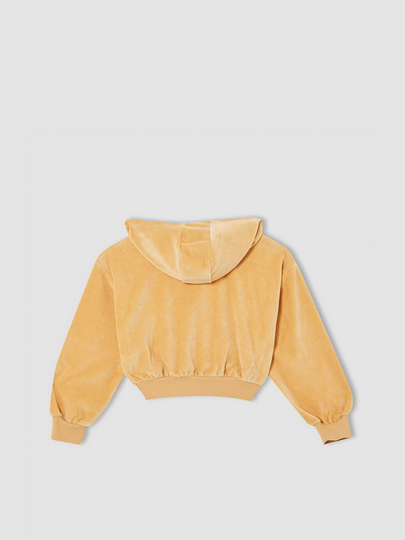 Кофта спортивная DeFacto модель V0071A6-BG68 Фото