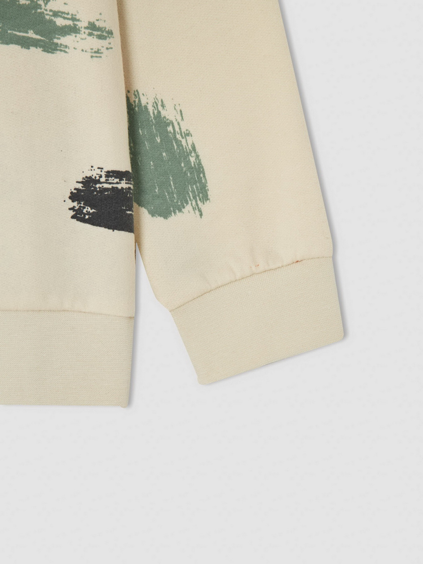 Свитшот DeFacto модель V5420A6-BG662 Фото