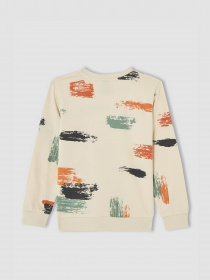 Свитшот DeFacto модель V5420A6-BG662 Свитшот DeFacto модель V5420A6-BG662 Фото