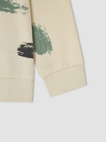 Свитшот DeFacto модель V5420A6-BG662 Свитшот DeFacto модель V5420A6-BG662 Фото