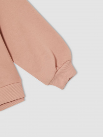 Худи DeFacto модель V4756A6-OG270 Фото