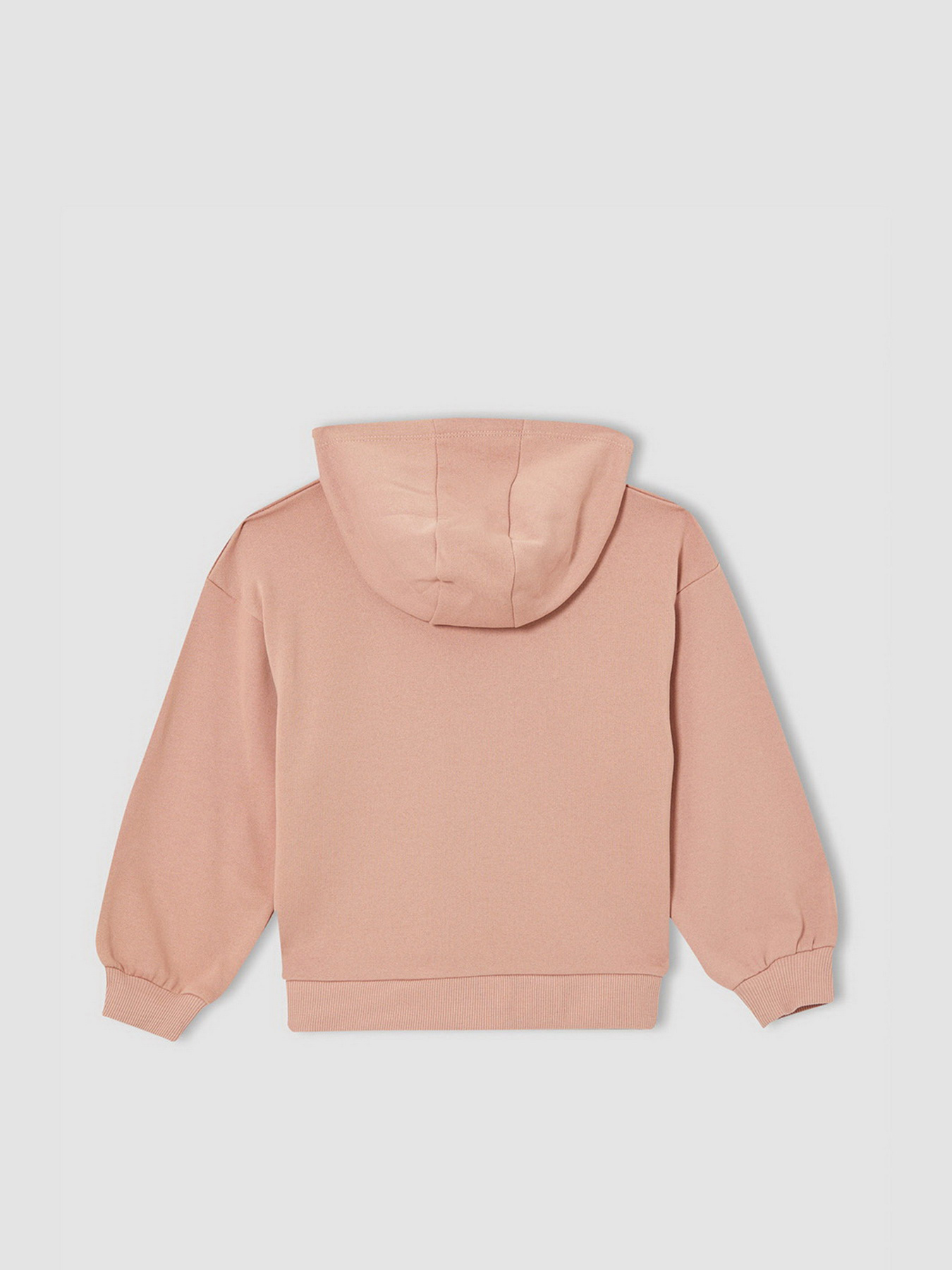 Худи DeFacto модель V4756A6-OG270 Фото