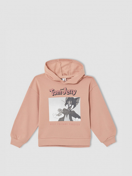 Худі DeFacto модель V4756A6-OG270 Фото