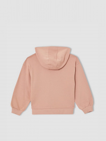 Худи DeFacto модель V4756A6-OG270 Фото