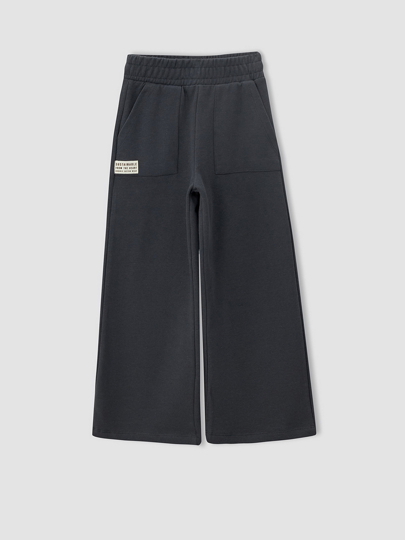 Штаны спортивные DeFacto модель V3811A6-AR191 Фото