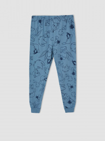 Пижама DeFacto модель V6076A6-BE484 Фото