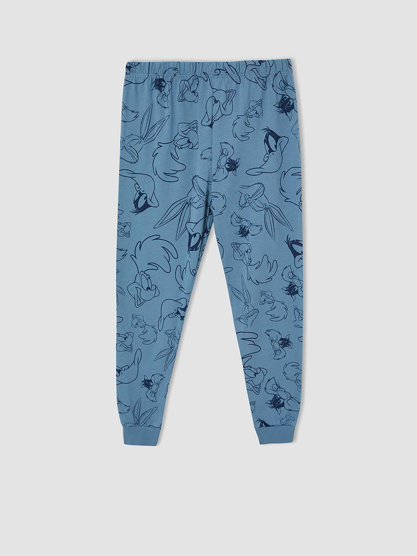 Пижама DeFacto модель V6076A6-BE484 Фото