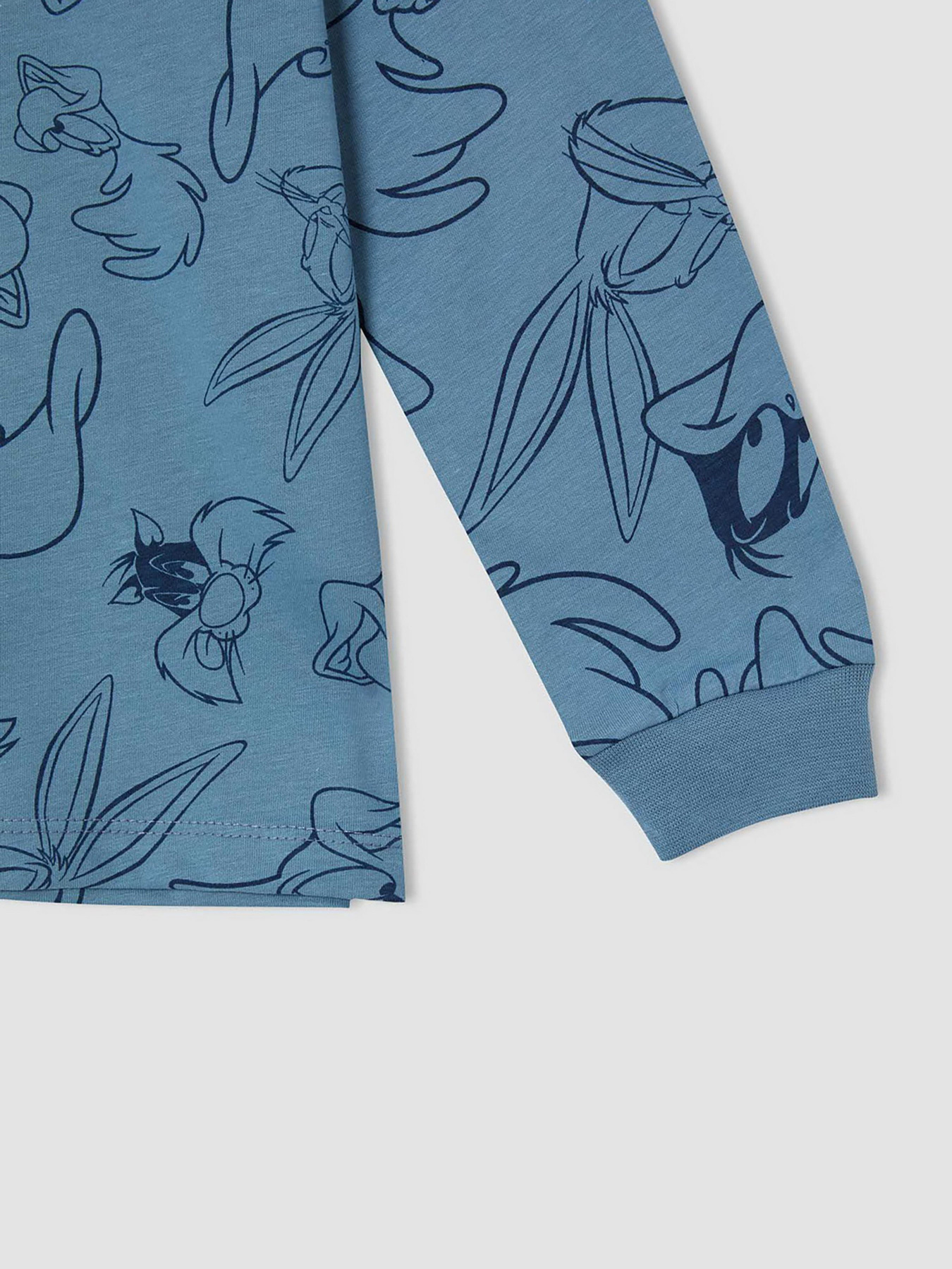 Пижама DeFacto модель V6076A6-BE484 Фото