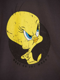 Свитшот DeFacto модель V4758A6-GR155 Фото