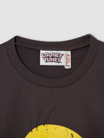 Світшот DeFacto модель V4758A6-GR155 Фото