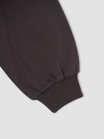 Світшот DeFacto модель V4758A6-GR155 Фото