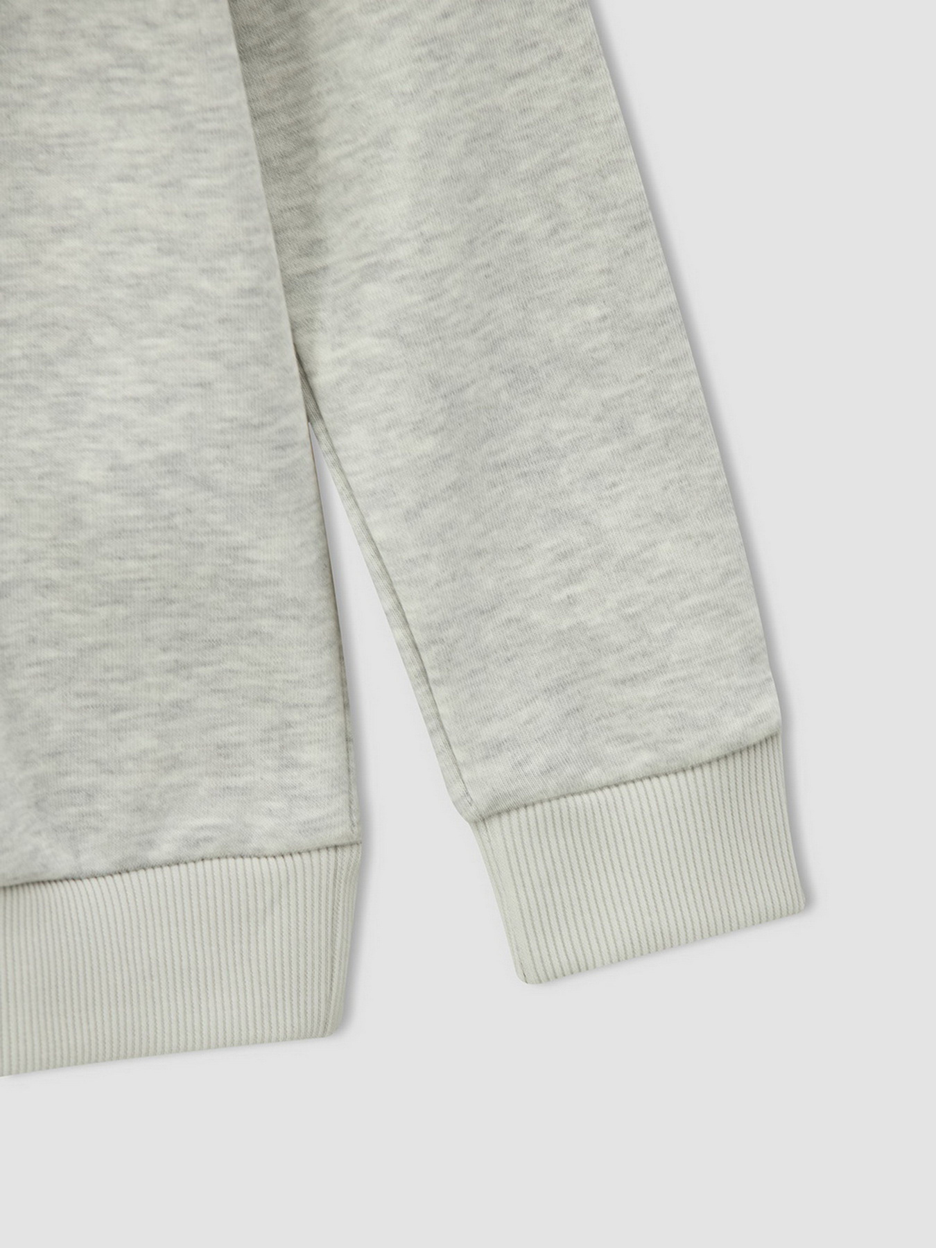 Худи DeFacto модель V6491A6-BG300 Фото