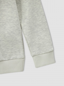 Худи DeFacto модель V6491A6-BG300 Фото