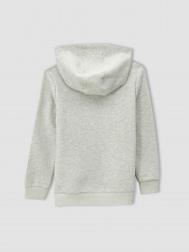 Худі DeFacto модель V6491A6-BG300 Худі DeFacto модель V6491A6-BG300 Фото