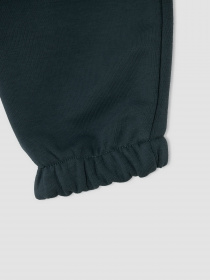 Штаны спортивные DeFacto модель V1221A6-GN126 Фото