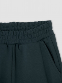 Штаны спортивные DeFacto модель V1221A6-GN126 Фото