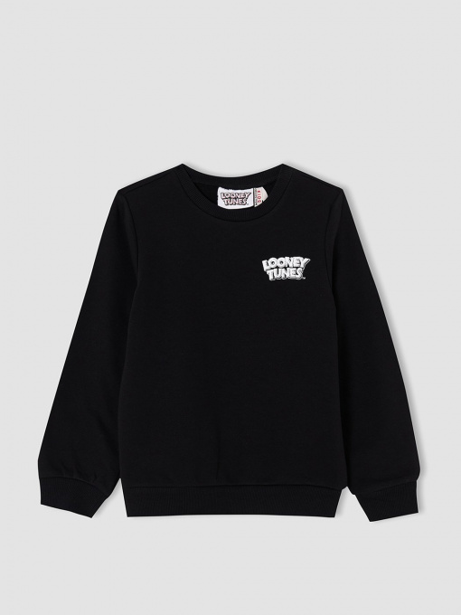 Світшот DeFacto модель V7052A6-BK27 Фото