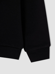 Світшот DeFacto модель V7052A6-BK27 Фото