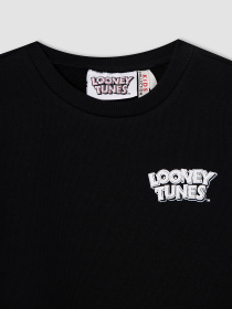 Світшот DeFacto модель V7052A6-BK27 Фото