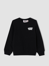 Світшот DeFacto модель V7052A6-BK27 Фото