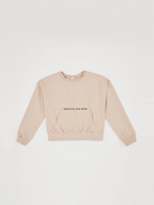 Світшот DeFacto модель R2059A6-BG107 Фото