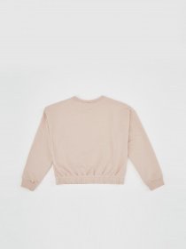 Свитшот DeFacto модель R2059A6-BG107 Фото