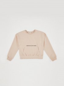 Свитшот DeFacto модель R2059A6-BG107 Фото