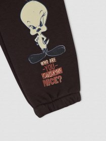 Штаны спортивные DeFacto модель V6543A6-AR203 Фото