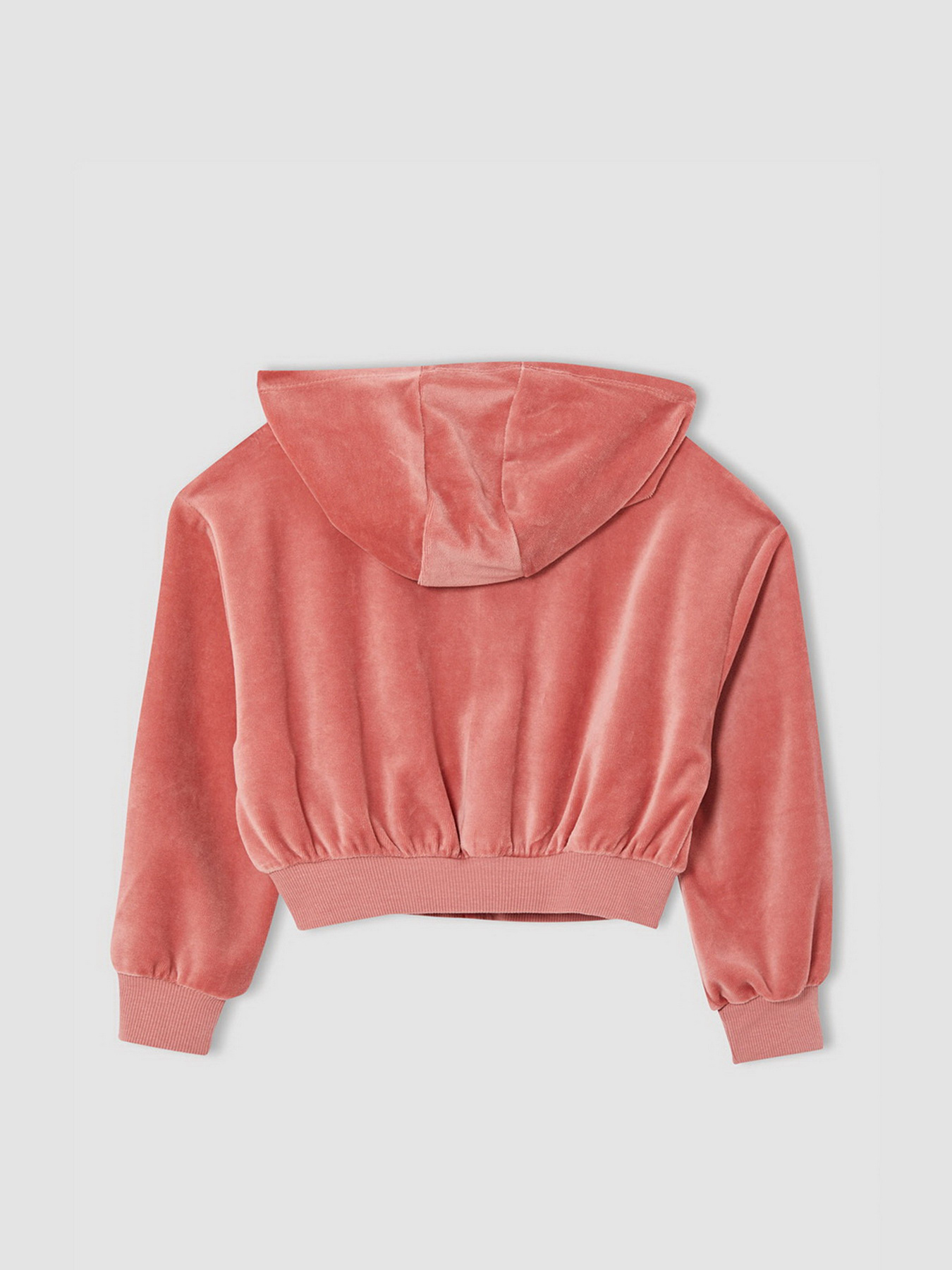 Кофта спортивная DeFacto модель V0071A6-BR96 Фото